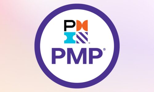 PMP Certification Program